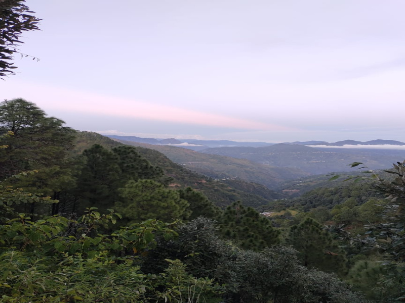 182 Sq. Yards Residential Plot for Sale in Chamba, Tehri Garhwal