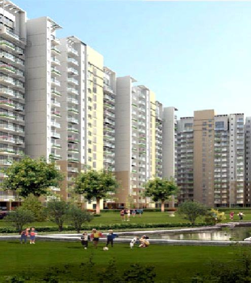  200 Sq.ft. Commercial Shop for Sale in Daulatabad, Gurgaon