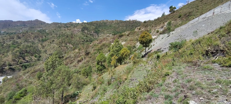 2 BHK 1400 Sq.ft. Villa for Sale in Kanatal, Tehri Garhwal