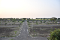  Residential Plot for Sale in Bale, Solapur