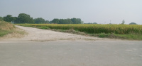  Agricultural Land for Sale in Laxmanpur, Pratapgarh