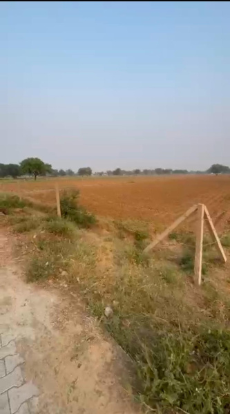  2 Bigha Agricultural/Farm Land for Sale in Delhi Bypass Road, Alwar