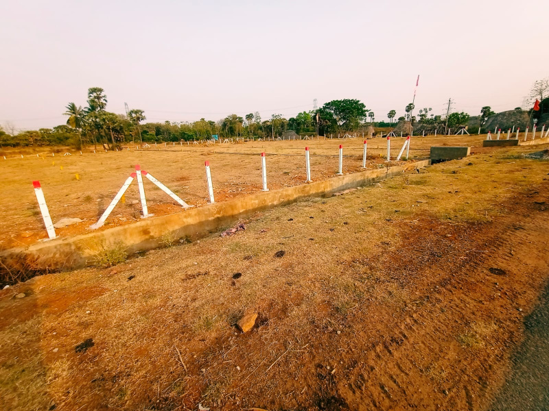  Residential Plot 167 Sq. Yards for Sale in Natraj Colony, Vizianagaram