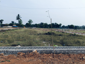  Residential Plot for Sale in Deendayal Colony, Bilaspur