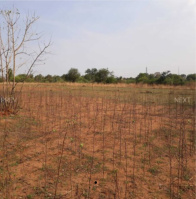 1 RK Farm House for Sale in Medchal, Hyderabad