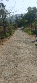  Agricultural Land for Rent in Chaul, Alibag, Raigad