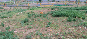  Residential Plot for Sale in Eklingpura, Udaipur