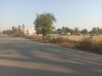  Commercial Land for Sale in Sandi, Hardoi