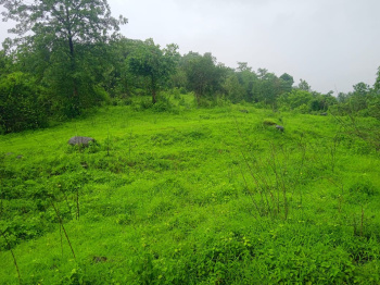  Agricultural Land for Sale in Mangaon, Raigad