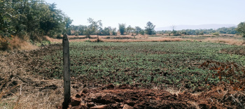  Agricultural Land for Sale in Mangaon, Raigad