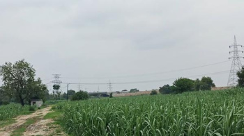  Agricultural Land for Sale in Garhmukteshwar, Hapur