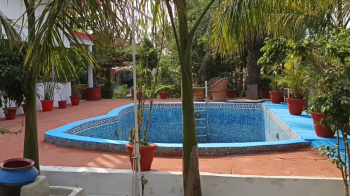  Agricultural Land for Sale in Hastinapur, Meerut