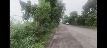  Agricultural Land for Sale in Garhmukteshwar, Hapur