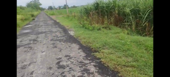  Agricultural Land for Sale in Garhmukteshwar, Hapur