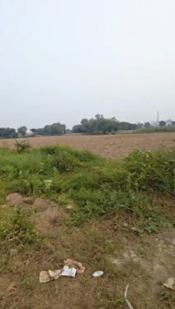  Agricultural Land for Sale in Hastinapur, Meerut