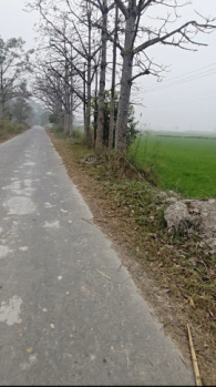  Agricultural Land for Sale in Mawana, Meerut