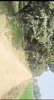  Agricultural Land for Sale in Siana, Bulandshahr