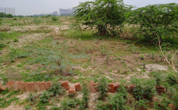 Residential Plot for Sale in Ranaji Enclave, Masudabad, Najafgarh, Delhi