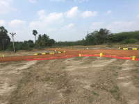  Residential Plot for Sale in Arakonam, Chennai