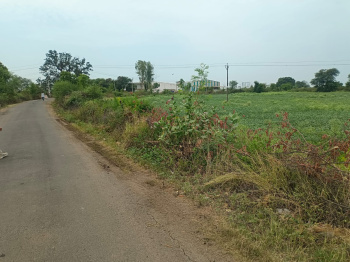  14 Acre Agricultural/Farm Land for Sale in Adampur, Hisar