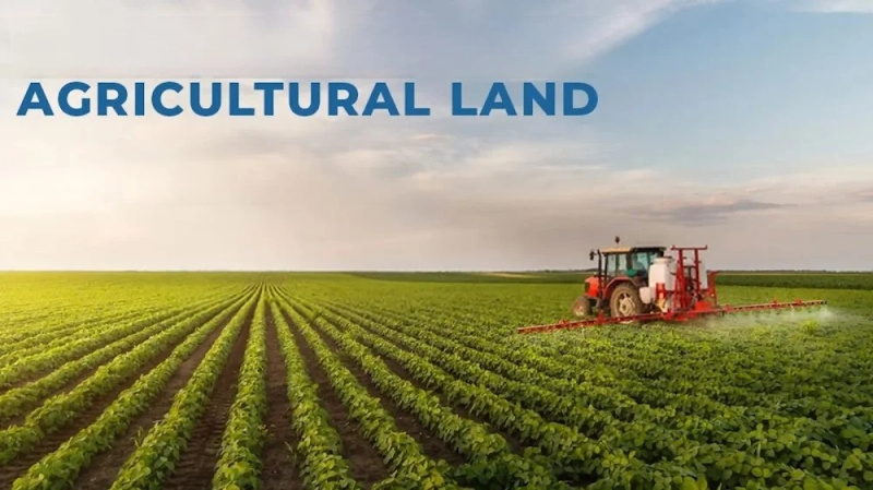  10 Acre Agricultural/Farm Land for Sale in Agroha, Hisar