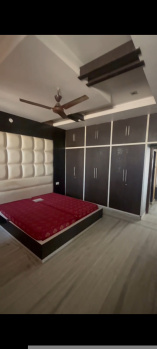 3 BHK Flat for Rent in Sector 14 Hisar