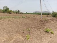  Agricultural Land for Sale in Narayangaon, Pune