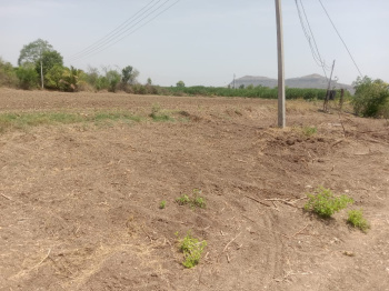  Agricultural Land for Sale in Narayangaon, Pune