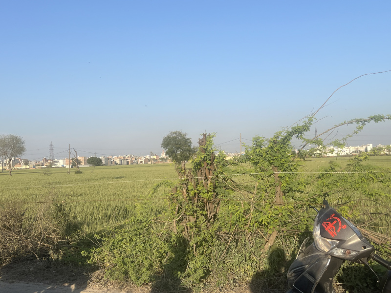 Agricultural Land 7 Acre for Sale in Bawana, Delhi