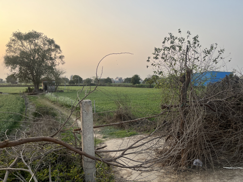  Agricultural Land 7 Acre for Sale in Bawana, Delhi
