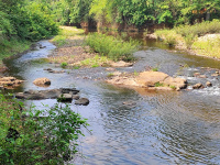  Agricultural Land for Sale in Sullia, Mangalore