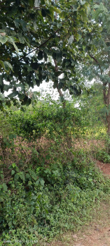 Residential Plot for Sale in Ormanjhi, Ranchi