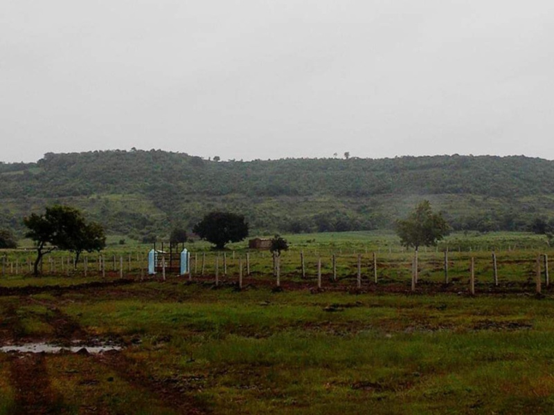 Agricultural Land 8 Guntha for Sale in Anantagiri Hills, Vikarabad