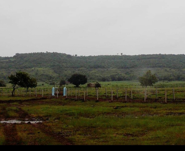 Agricultural Land 24 Guntha for Sale in Anantagiri Hills, Vikarabad (REI1178507)