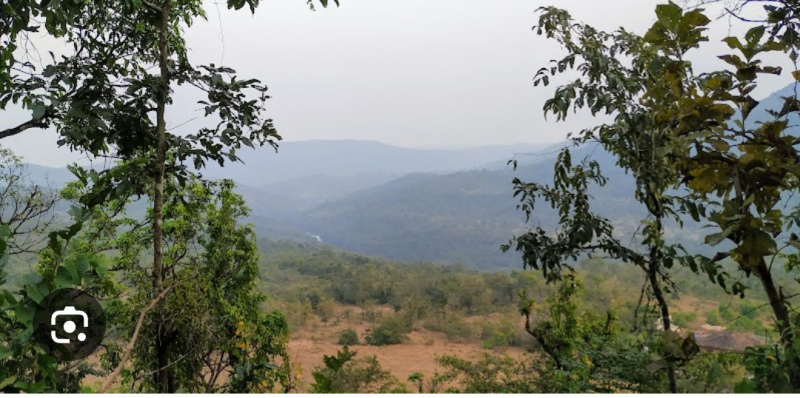  Agricultural Land 29 Guntha for Sale in Mandangad, Ratnagiri