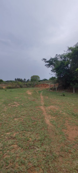  Agricultural Land for Sale in Shoolagiri, Hosur
