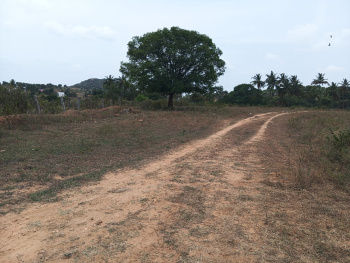  Agricultural Land for Sale in Shoolagiri, Hosur