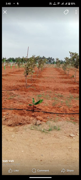  Agricultural Land 9600 Sq.ft. for Sale in Madurantakam, Chennai