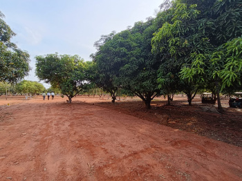  Agricultural Land for Sale in Marungapuri, Tiruchirappalli