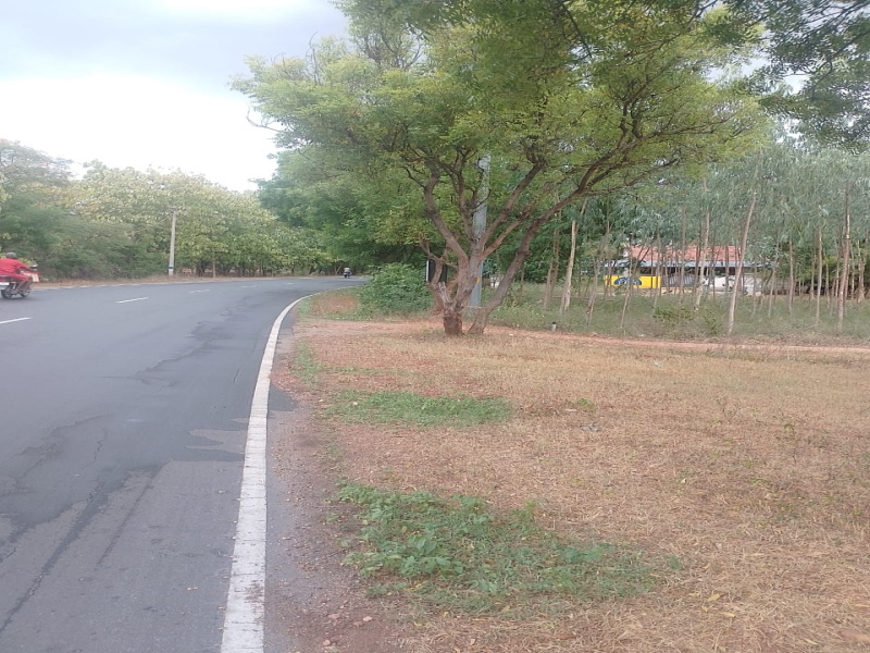  Agricultural Land 25200 Sq.ft. for Sale in Kanjikovil, Erode