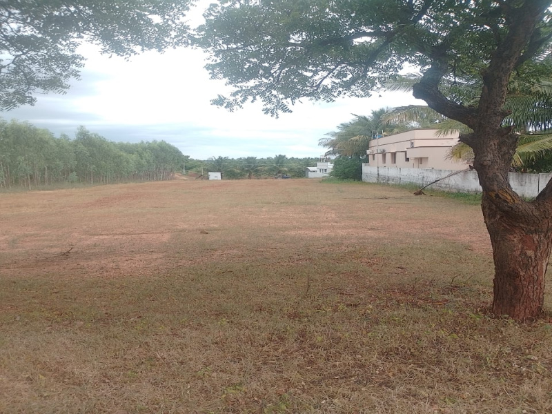  Agricultural Land 25200 Sq.ft. for Sale in Kanjikovil, Erode