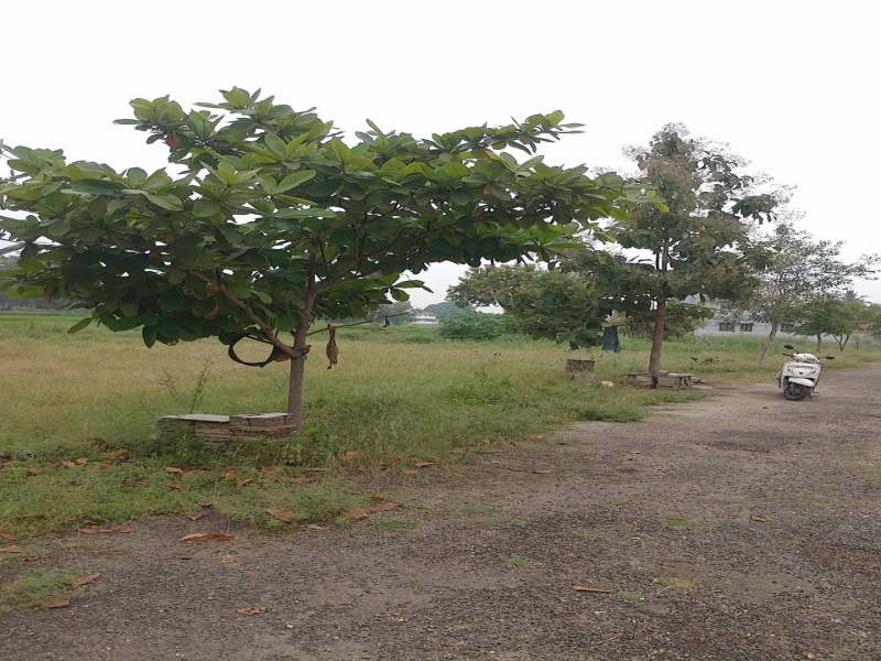  Residential Plot 1890 Sq.ft. for Sale in Thindal, Erode