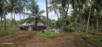  Agricultural Land for Sale in Attapadi, Palakkad