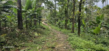  Agricultural Land for Sale in Attapadi, Palakkad