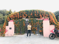  Warehouse for Sale in Shimla Bypass, Dehradun