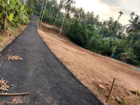  Residential Plot for Sale in Kattappana, Idukki