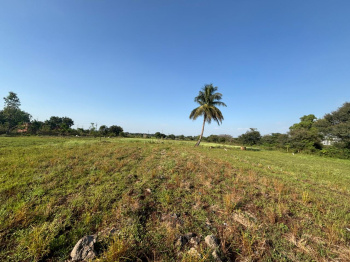 Residential Plot for Sale in Deolali, Nashik