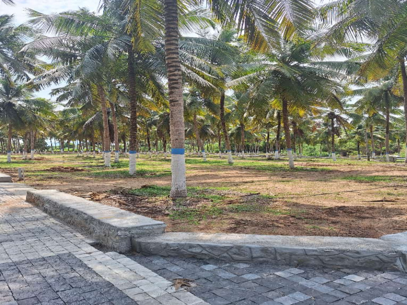  Agricultural Land 13 Cent for Sale in Kinathukadavu, Coimbatore