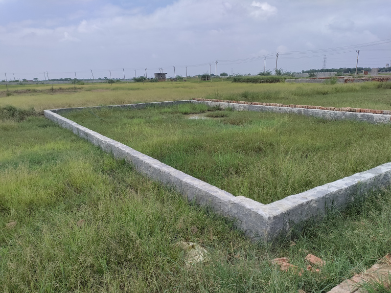  Residential Plot 50 Sq. Meter for Sale in Yamuna Expressway, Greater Noida