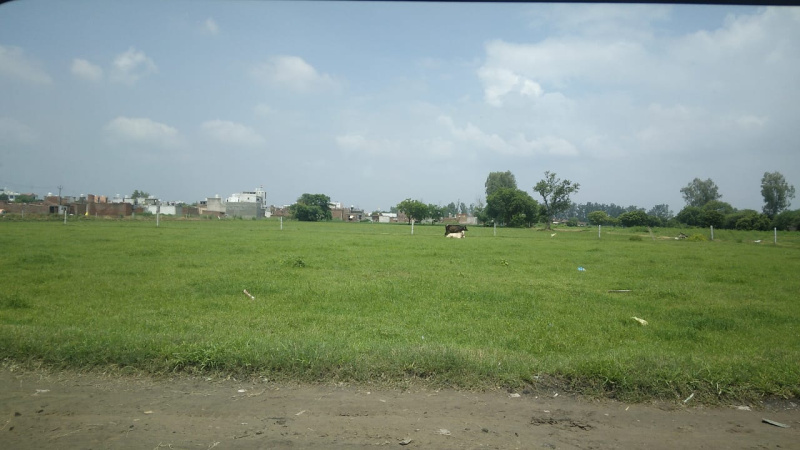  Agricultural Land 5 Acre for Sale in Ballabhgarh, Faridabad